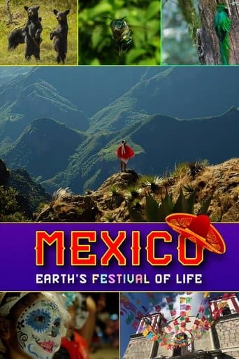 Movie poster for Mexico: Earth's Festival of Life