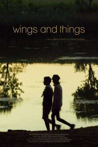 Movie poster for Wings and Things