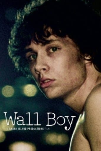 Movie poster for Wall Boy