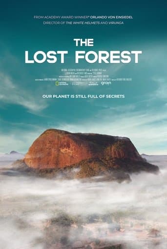 Movie poster for The Lost Forest