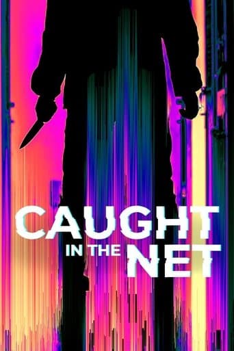 Movie poster for Caught in the Net