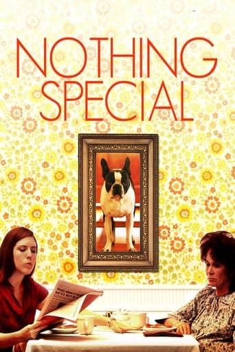 Movie poster for Nothing Special