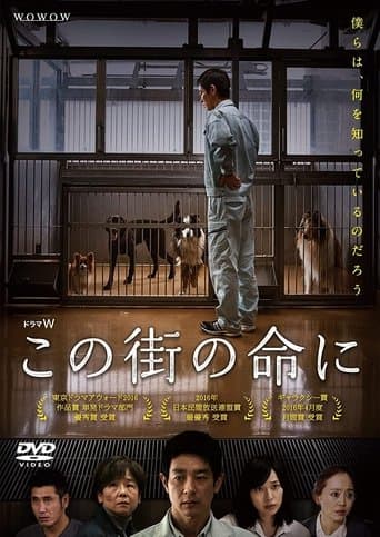 Movie poster for Through Their Eyes