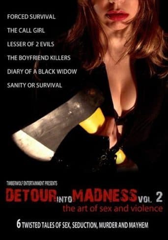 Movie poster for Detour Into Madness Vol. 2
