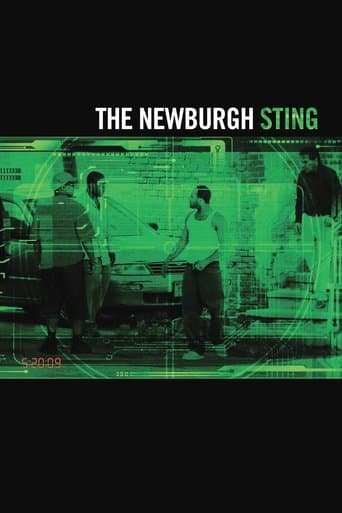 Movie poster for The Newburgh Sting