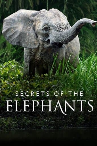 Movie poster for Secrets of the Elephants