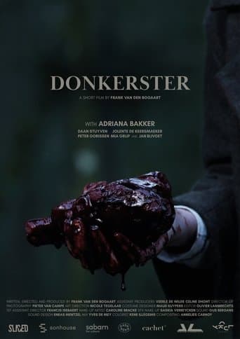 Movie poster for Darker