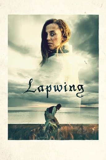 Movie poster for Lapwing
