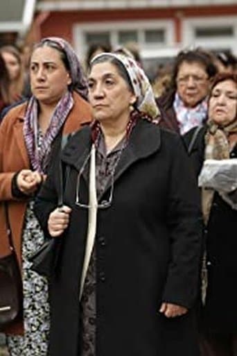 Movie poster for Anamız Var
