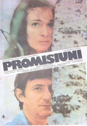 Movie poster for Promisses