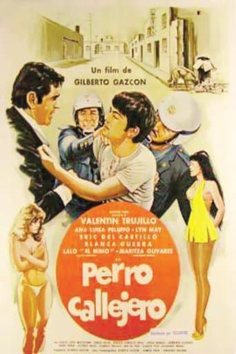 Movie poster for Perro callejero
