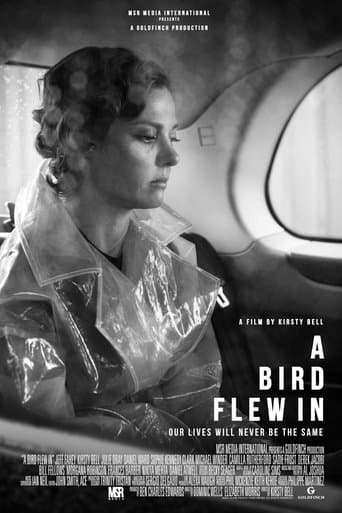 Movie poster for A Bird Flew In