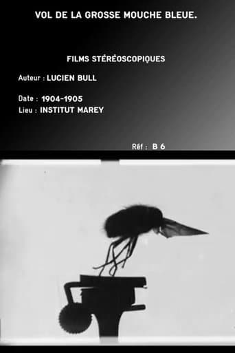 Movie poster for Flight of the Large Blue Fly
