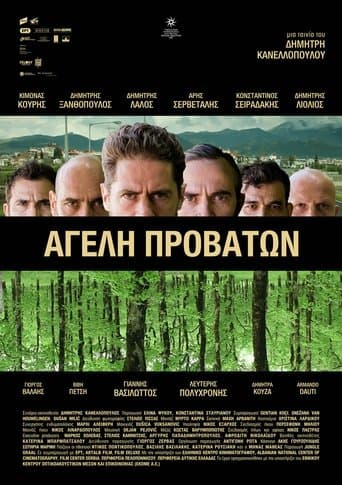 Movie poster for Pack of Sheep