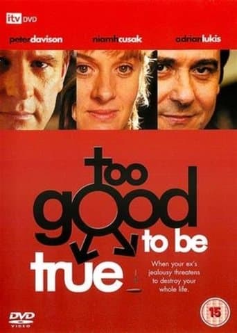 Movie poster for Too Good to Be True