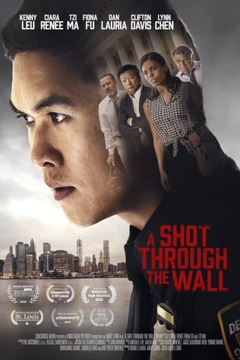 Movie poster for A Shot Through the Wall