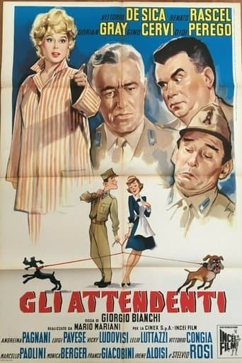 Movie poster for The Orderly
