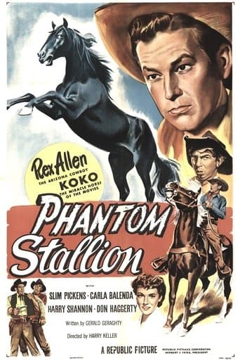 Movie poster for Phantom Stallion