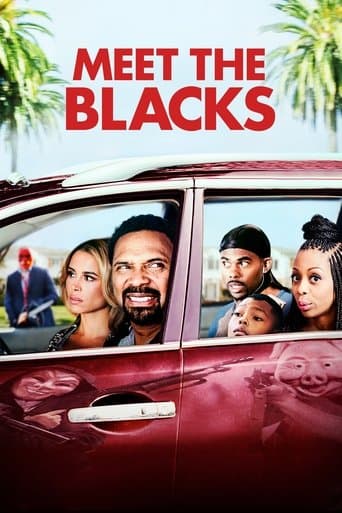 Movie poster for Meet the Blacks