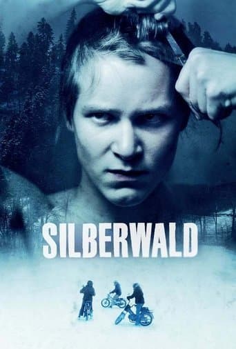 Movie poster for Silver Forest
