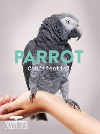 Movie poster for Parrot Confidential