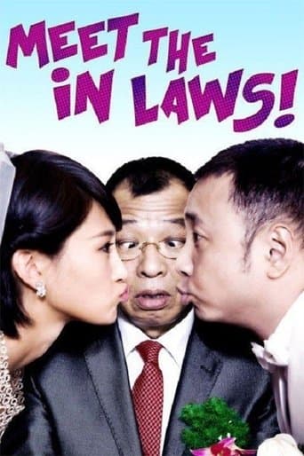 Movie poster for Meet the In Laws