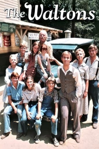 Movie poster for The Waltons