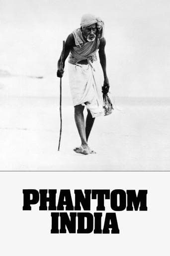 Movie poster for Phantom India