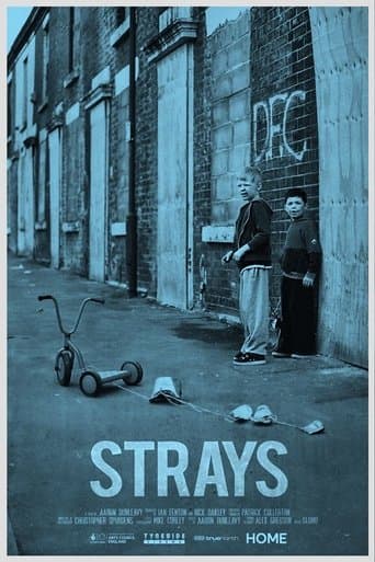 Movie poster for Strays