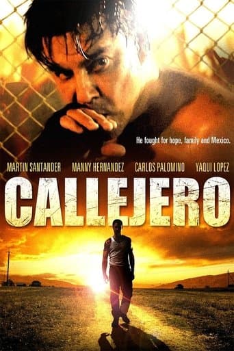Movie poster for Callejero