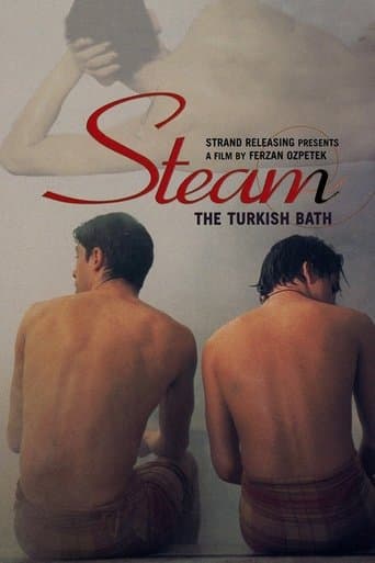 Movie poster for Steam: The Turkish Bath