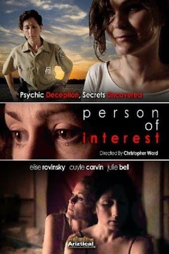 Movie poster for Person of Interest