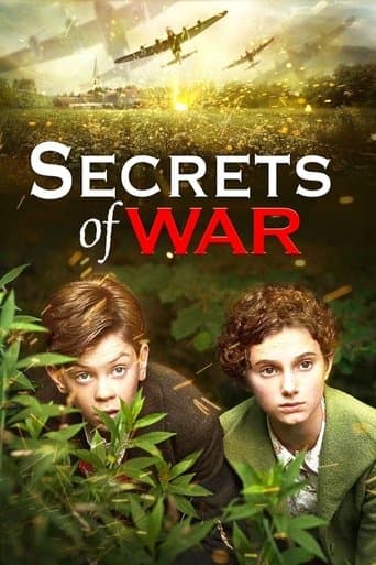 Movie poster for Secrets of War