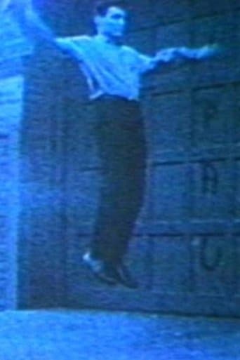 Movie poster for Vincent Gallo as Flying Christ