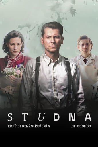 Movie poster for The Well