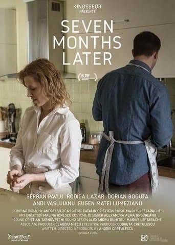 Movie poster for Seven Months Later