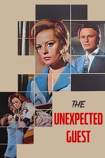 Movie poster for Tanrı Misafiri