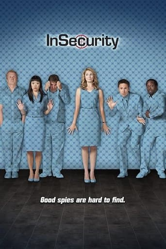 Movie poster for InSecurity
