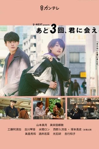 Movie poster for The Last Three Times We'll Meet