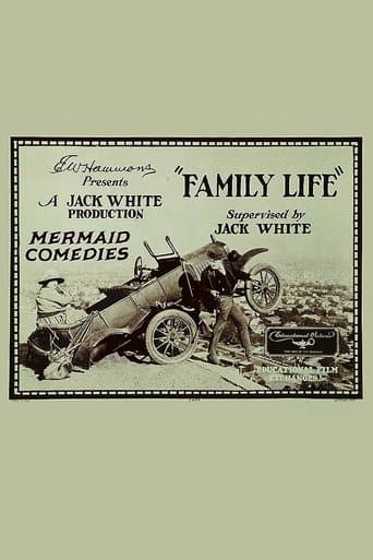 Movie poster for Family Life