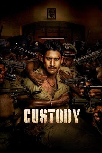 Movie poster for Custody