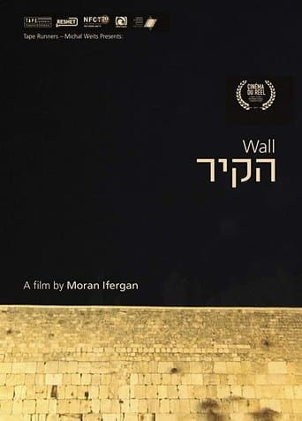 Movie poster for Wall