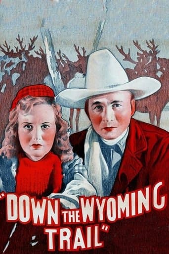 Movie poster for Down the Wyoming Trail