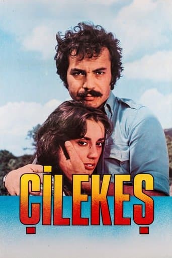 Movie poster for Çilekeş