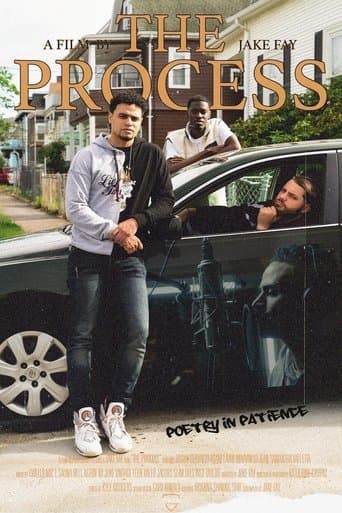 Movie poster for The Process