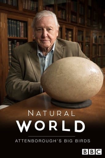 Movie poster for Attenborough's Big Birds