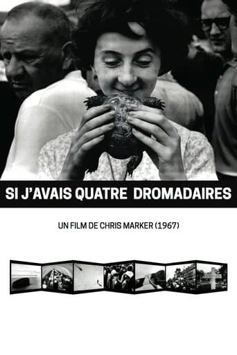 Movie poster for If I Had Four Dromedaries