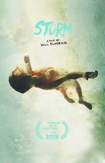 Movie poster for Storm
