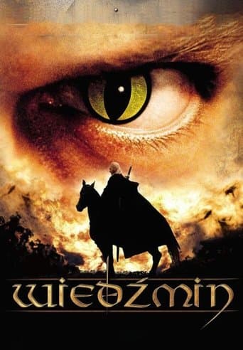 Movie poster for The Witcher