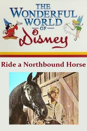 Movie poster for Ride a Northbound Horse